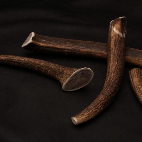 Whole Antler