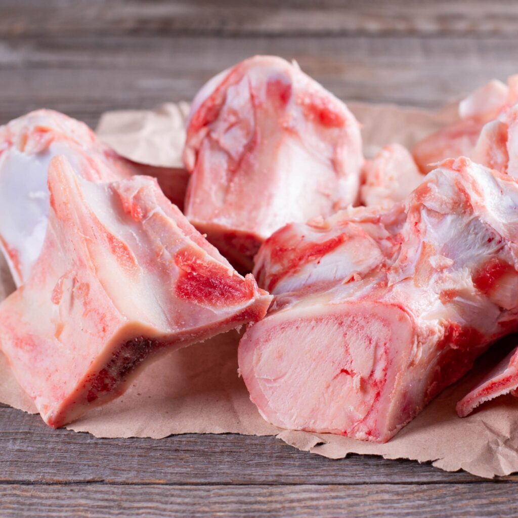 elk bones for sale