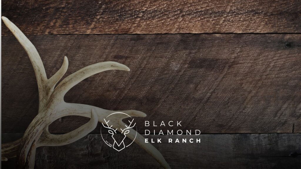 elk chews for puppies