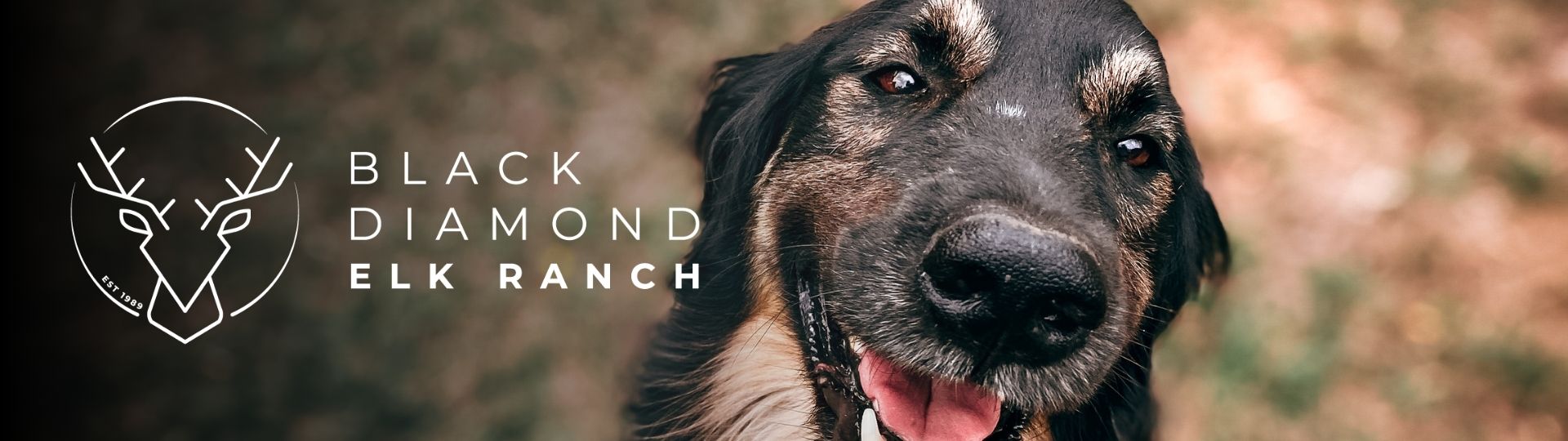 natural dog treats