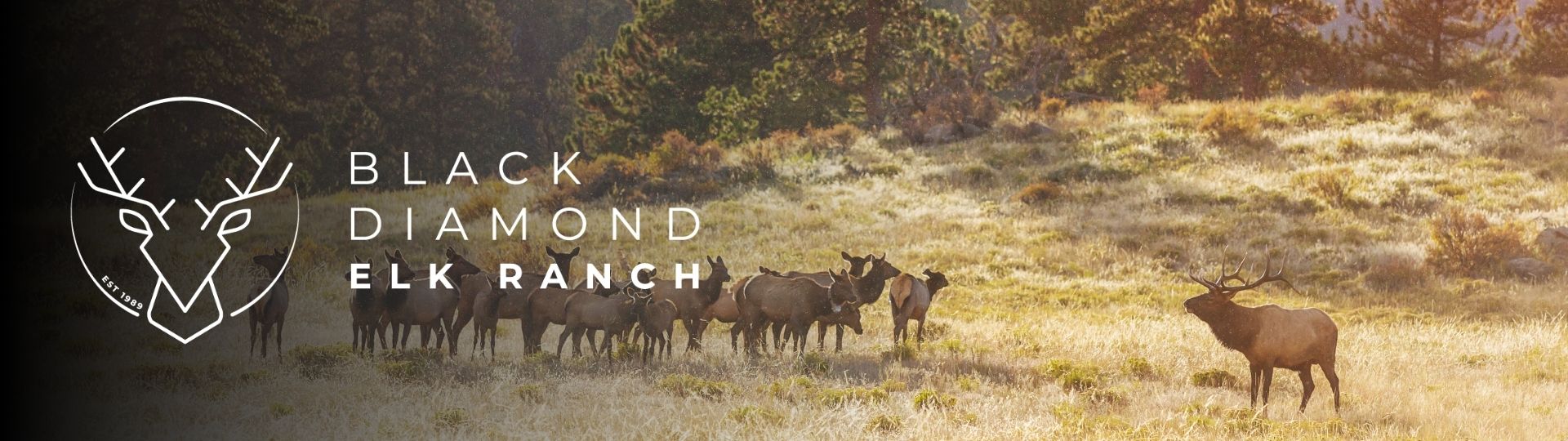 elk meat near calgary