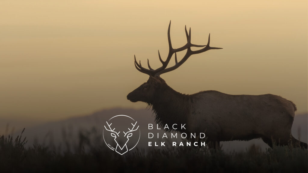 elk meat near calgary