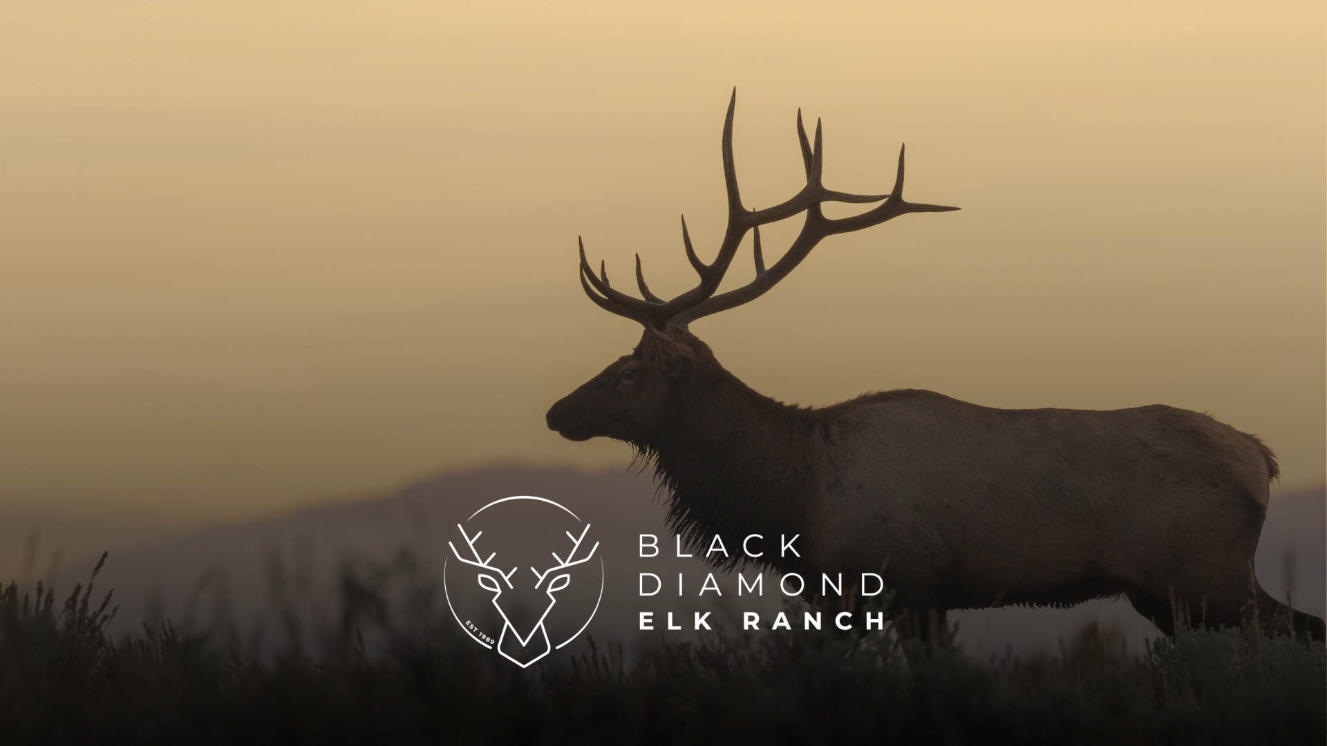 elk meat near calgary