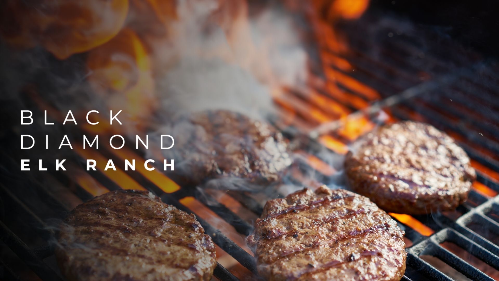 elk burgers